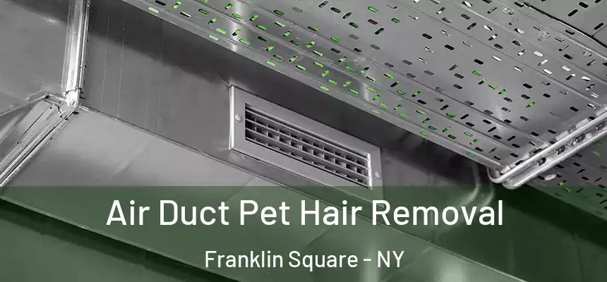 Air Duct Pet Hair Removal Franklin Square - NY
