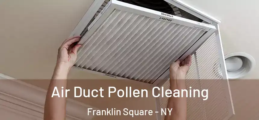 Air Duct Pollen Cleaning Franklin Square - NY
