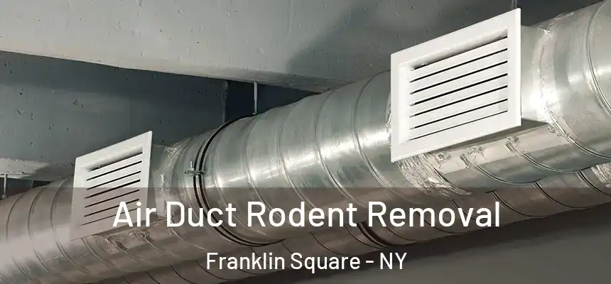  Air Duct Rodent Removal Franklin Square - NY