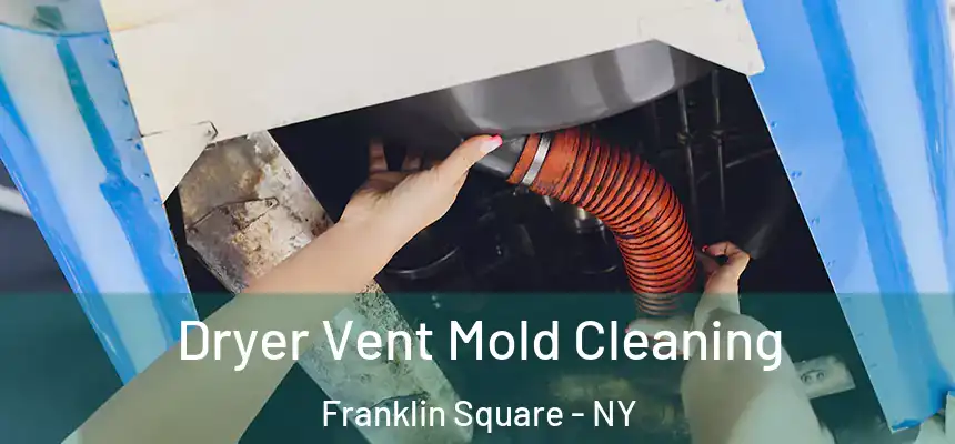 Dryer Vent Mold Cleaning Franklin Square - NY