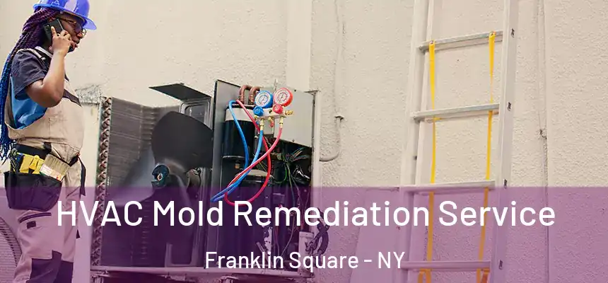  HVAC Mold Remediation Service Franklin Square - NY