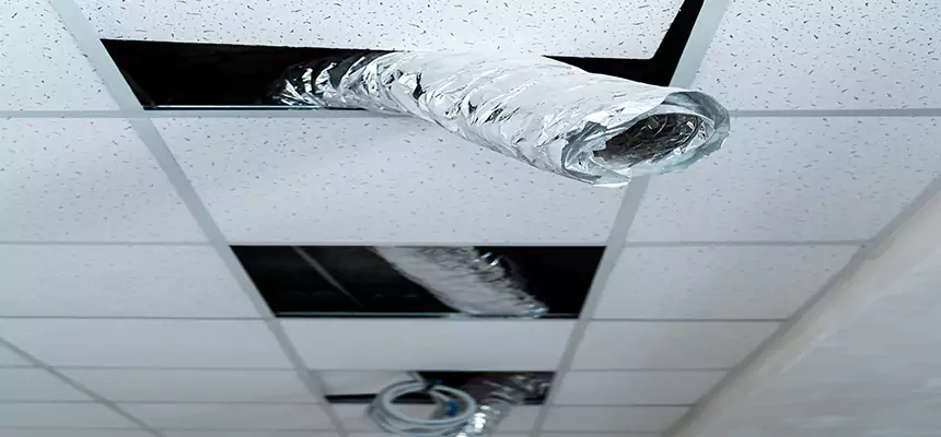 Affordable HVAC Sanitizing After Pest Removal in Franklin Square