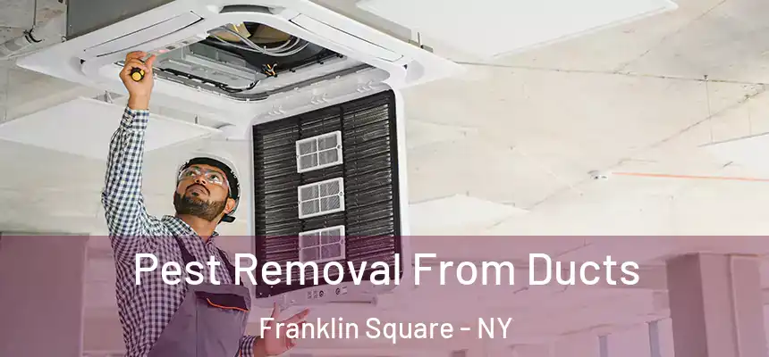 Pest Removal From Ducts Franklin Square - NY