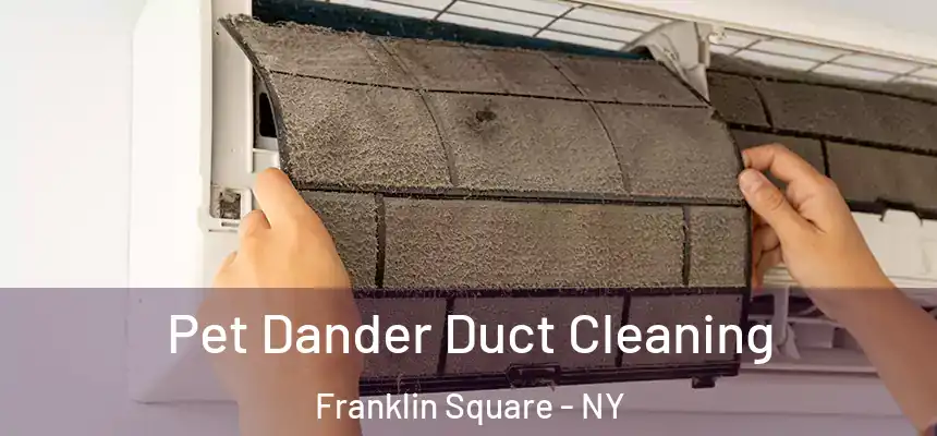 Pet Dander Duct Cleaning Franklin Square - NY