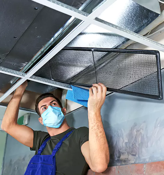 About Air Duct Bacteria Removal in Franklin Square