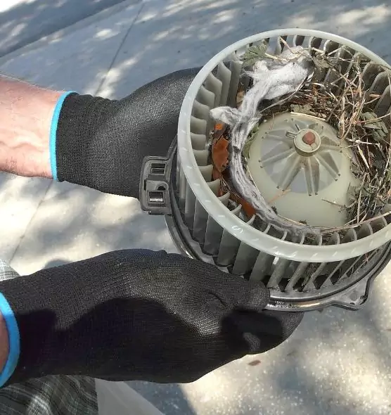 About Air Duct Mice Removal in Franklin Square, NY